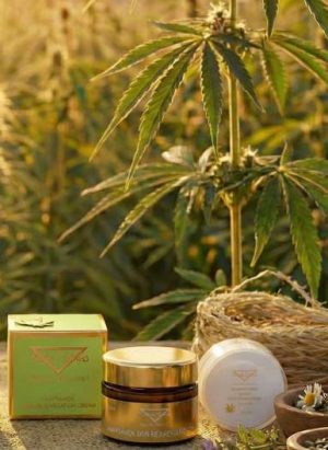 Beatrix Strobl Hanfsamen Skin Rejuvenations Cream 50 ml